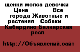 щенки мопса девочки › Цена ­ 25 000 - Все города Животные и растения » Собаки   . Кабардино-Балкарская респ.